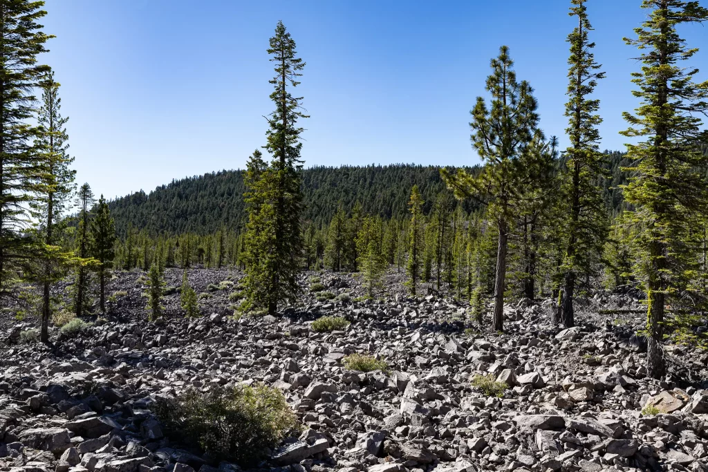 Chaos Jumbles, grey melon-sized rocks as far as the eye can see.