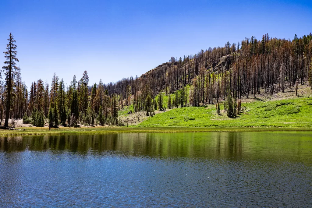 Cold Boiling Lake's still waters at Lassen.