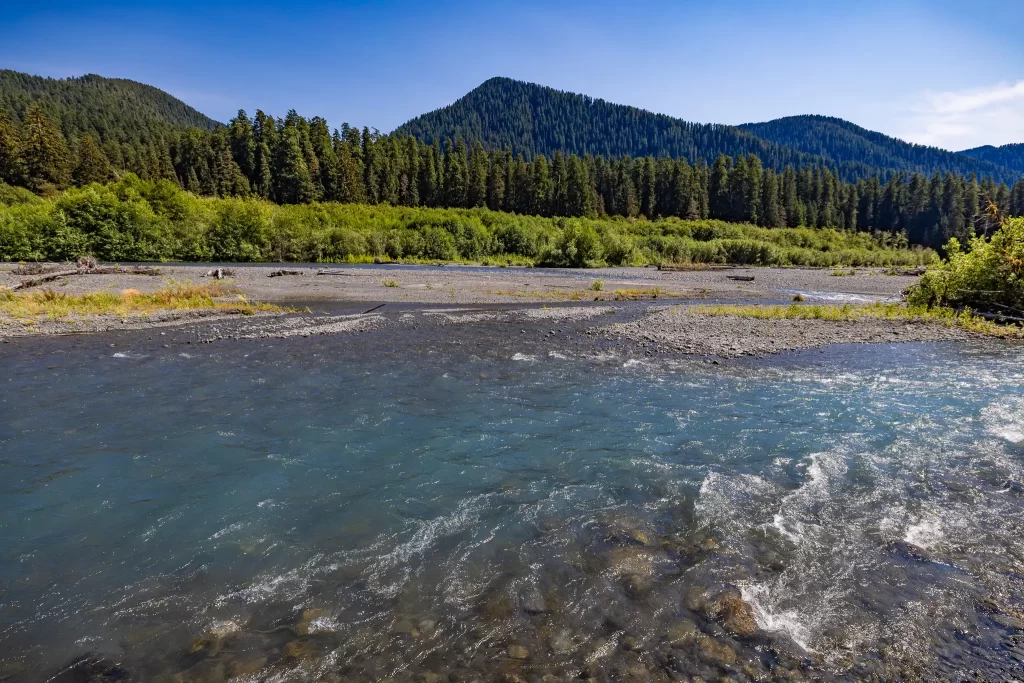 The Hoh River flows through Olympic NP.