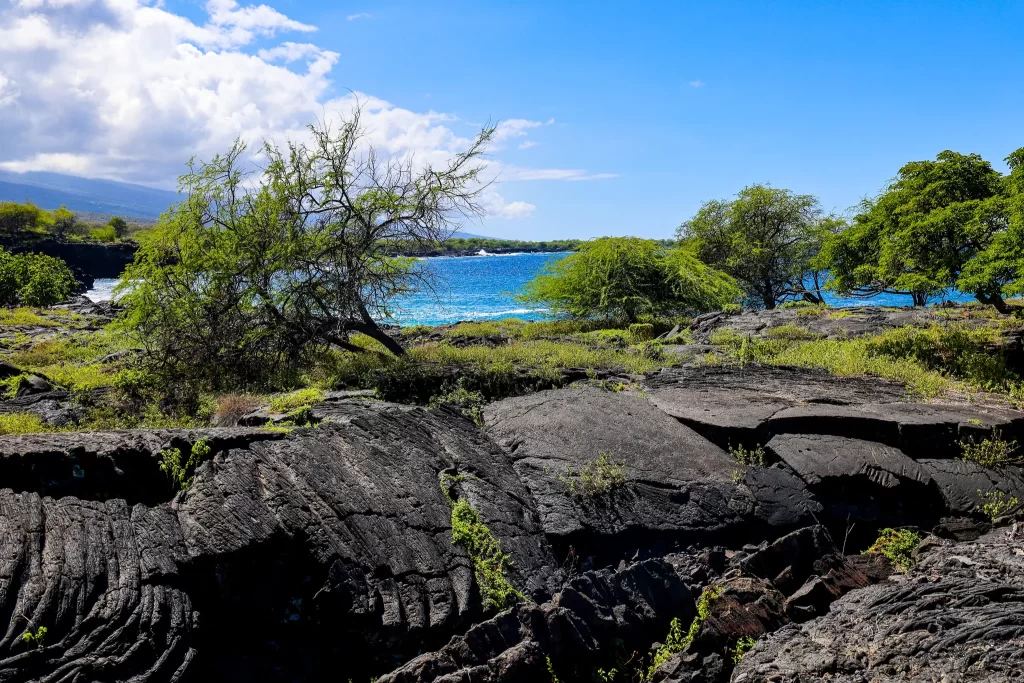 Massive basalt boulders stretch to the waters edge in Hawai'i.