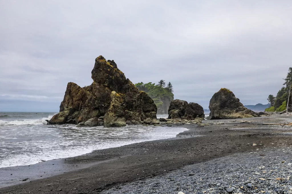 Olympic National Park beach, misty and rocky.