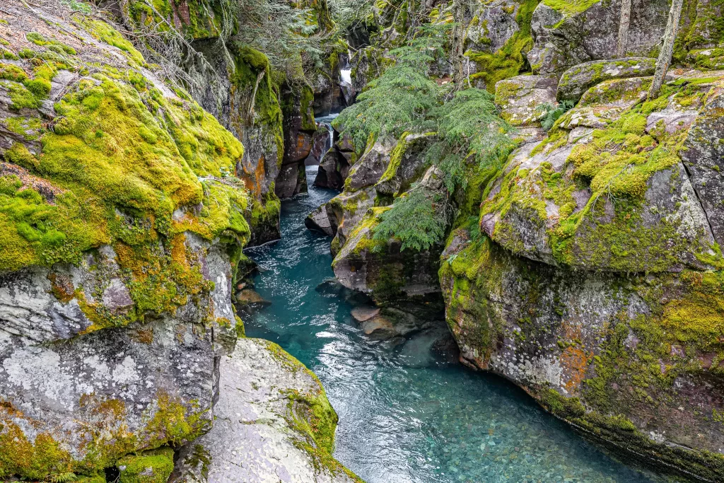 Along the Trail of Cedars is a narrow gorge with bluegreen water.