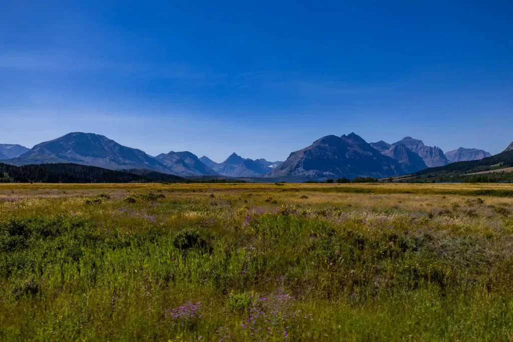 One last look at Glacier National Park before heading east.