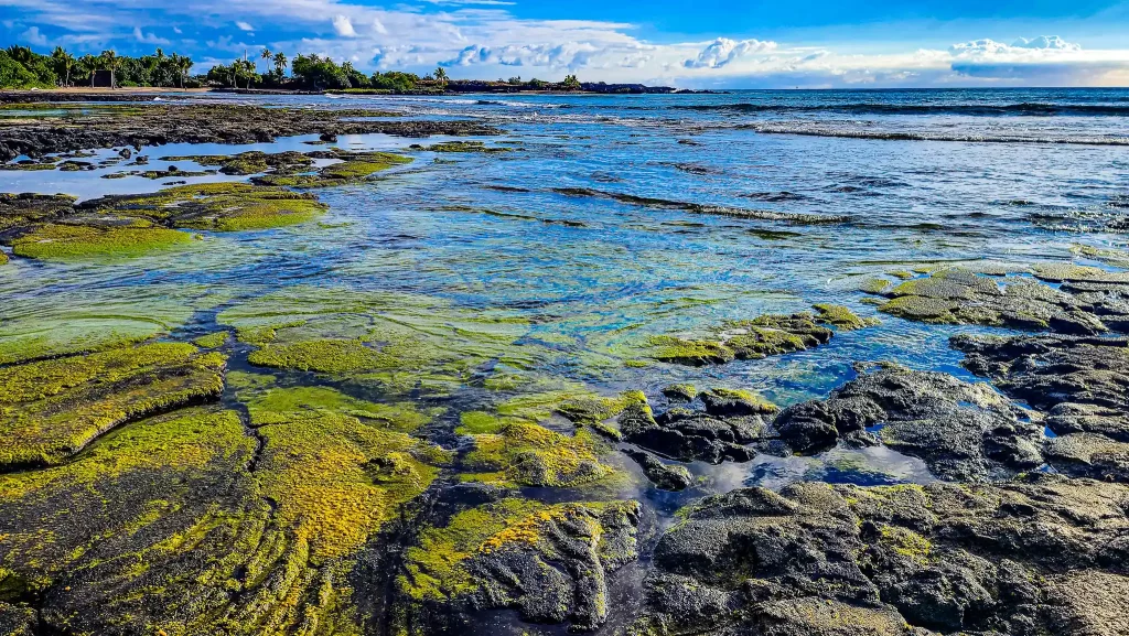 Shallow blue water of Ho'okena Beach Park in Hawai'i.