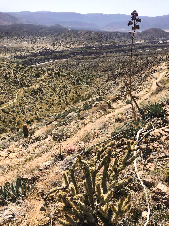 Climb out of Julian along the Pacific Crest Trail.