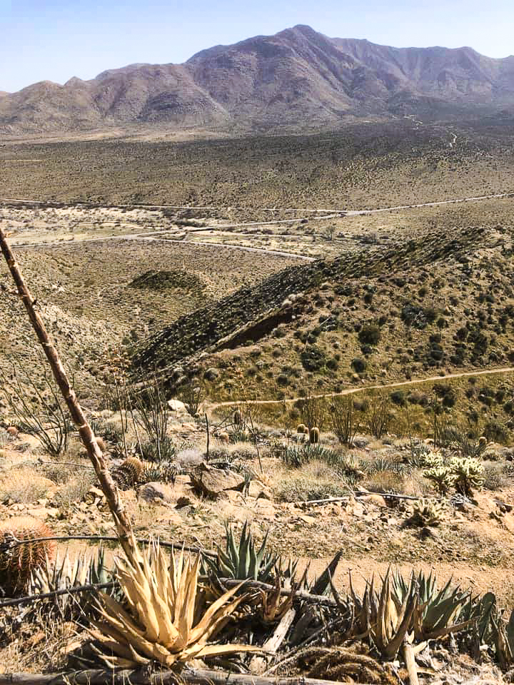 Steep limb out of Julian, CA along the Pacific Crest Trail.