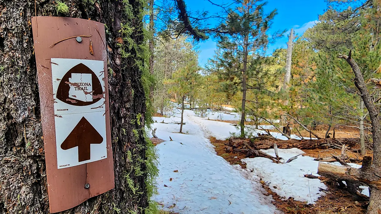 Day 2 | Arizona Trail