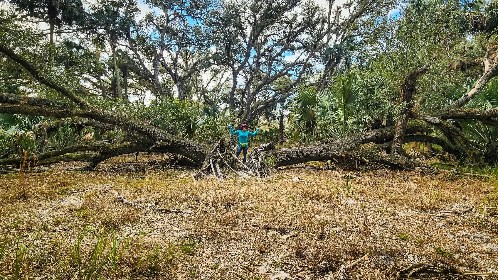 My First Backpacking Date