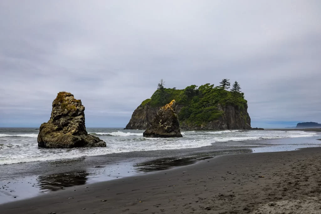 Sea-stacks pepper the coastline in Olympic NP.