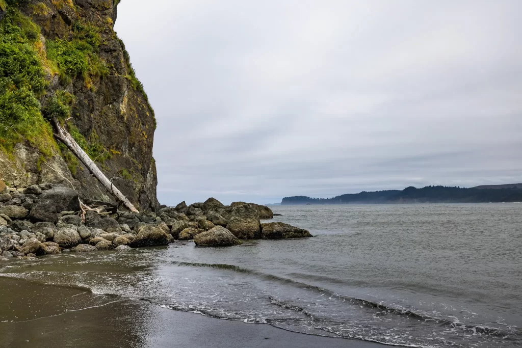 A massive sea-stack on the Olympic Peninsula.