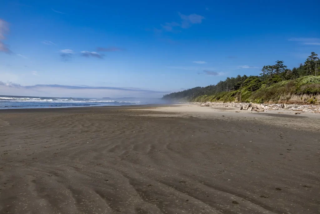 Dark wavy sand stretching as far as the eye can see.