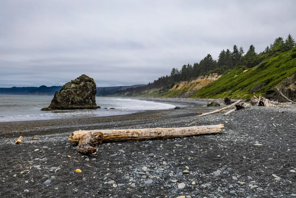 Black sand and a steeply sloped coastline make up this section of Olympic NP.