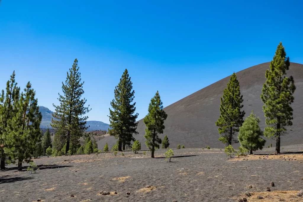 The towering grey cinder cone!