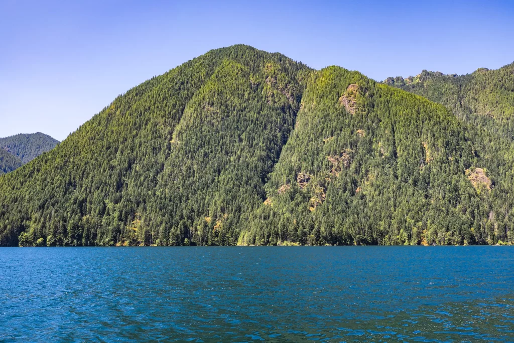 Cushman Lake is surrounded by tree-covered mountains.