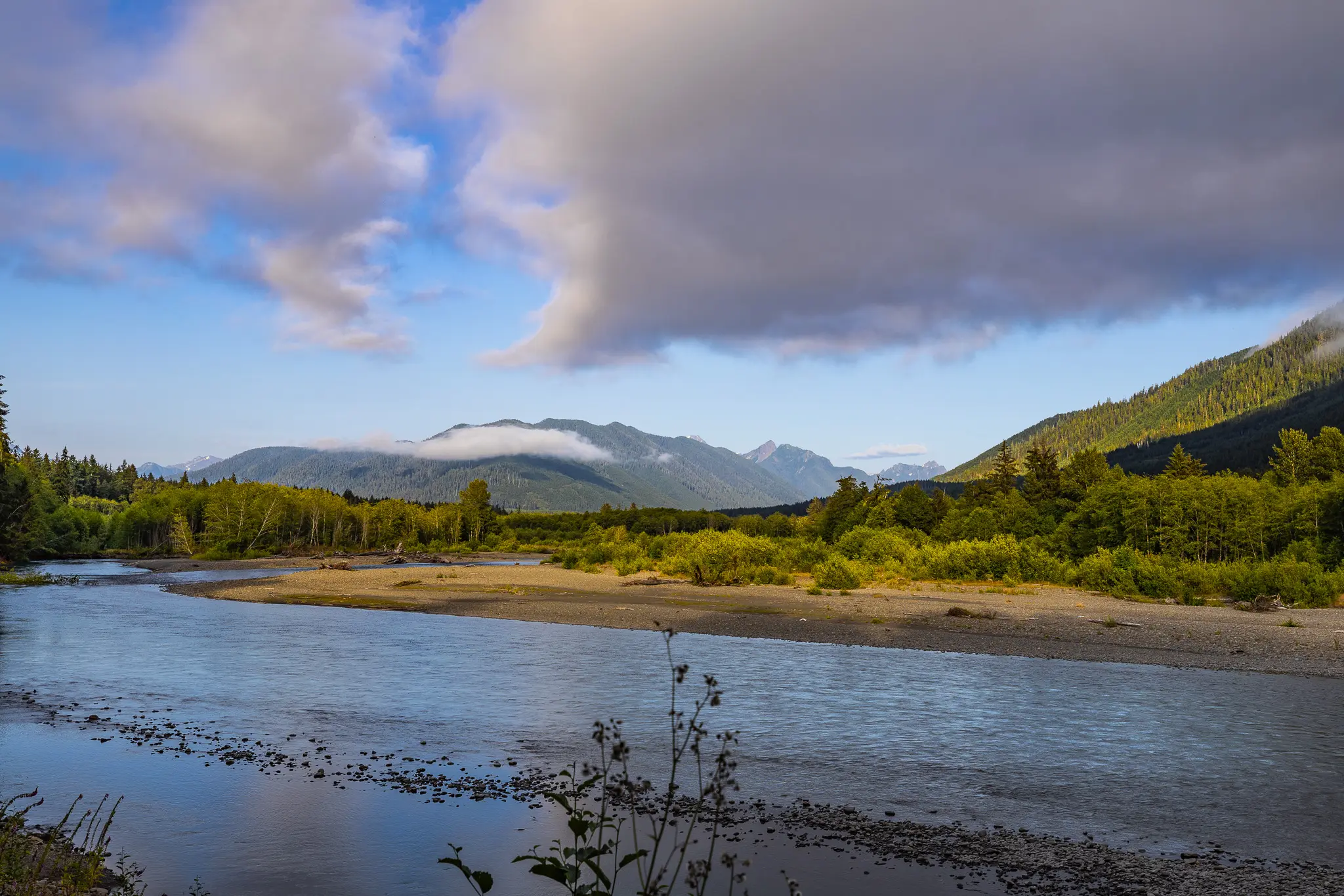 Day 4 @ Olympic National Park