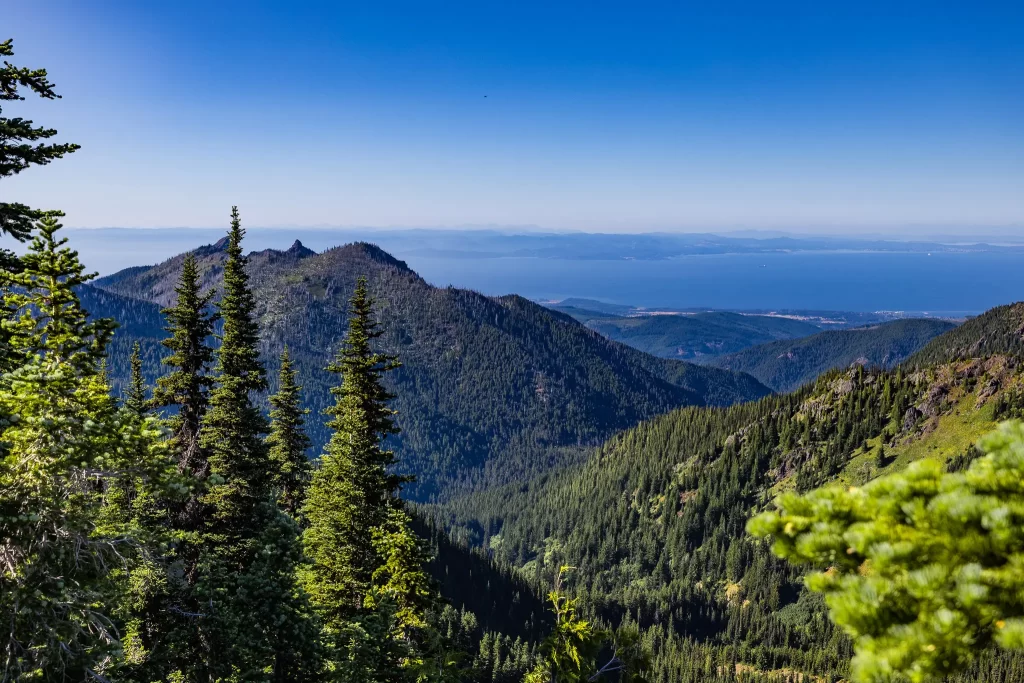 Ocean and mountain views from the High Ridge Trail, Olympic National Park.