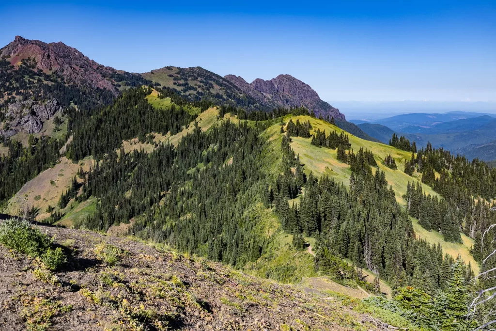 Green mountains as far as the eye can see from Sunset Point, Olympic National Park.