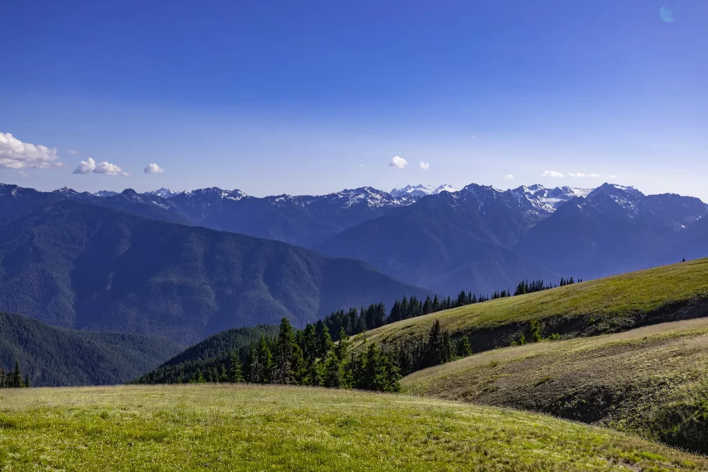 Hurricane Ridge at Olympic National Park.