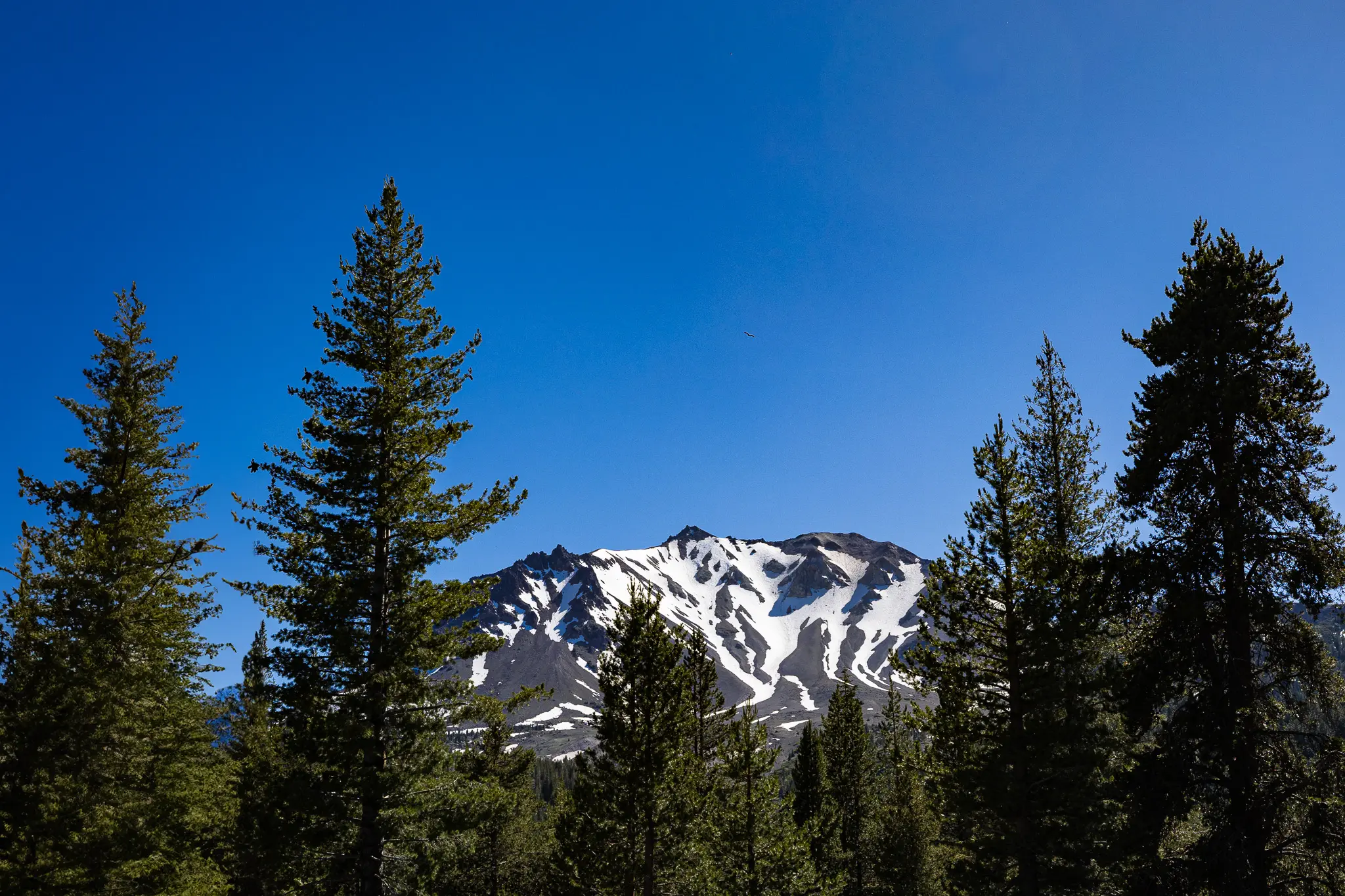 DAY 1 @ Lassen Volcanic National Park