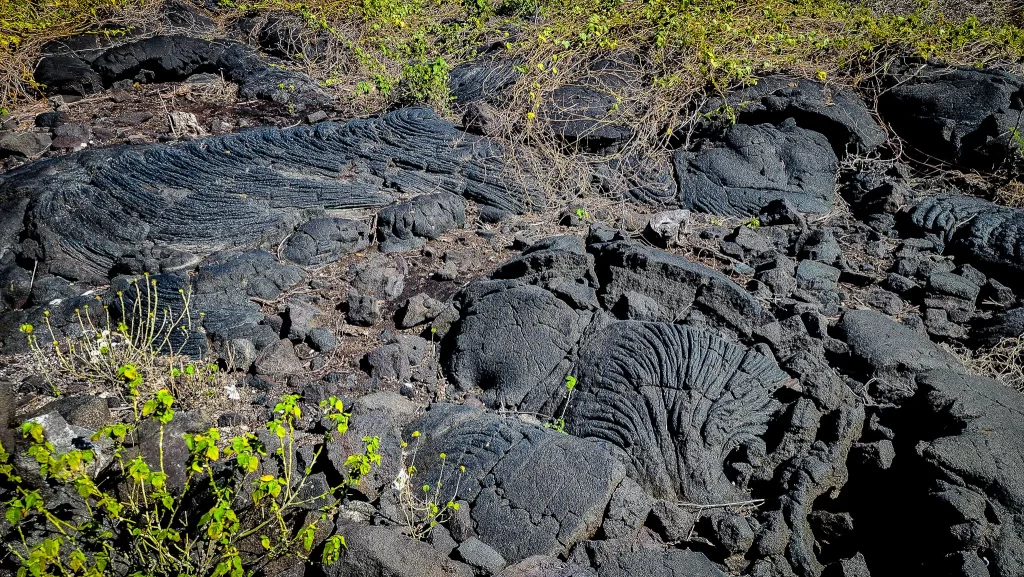 Fast-moving lava left folds and wrinkles behind.