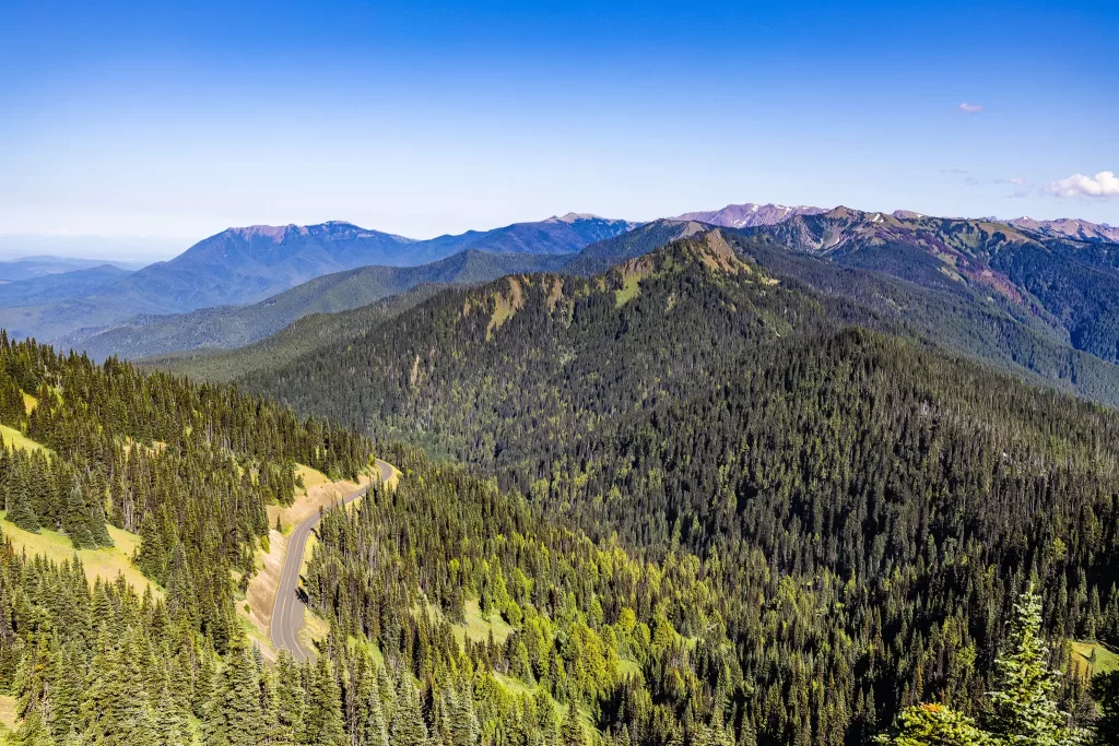 Green mountains as far as the eye can see from Obstruction Point, Olympic National Park.