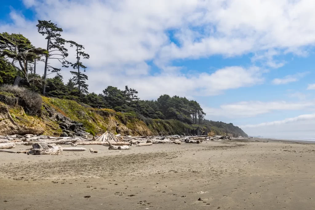 The rugged Olympic Coast.