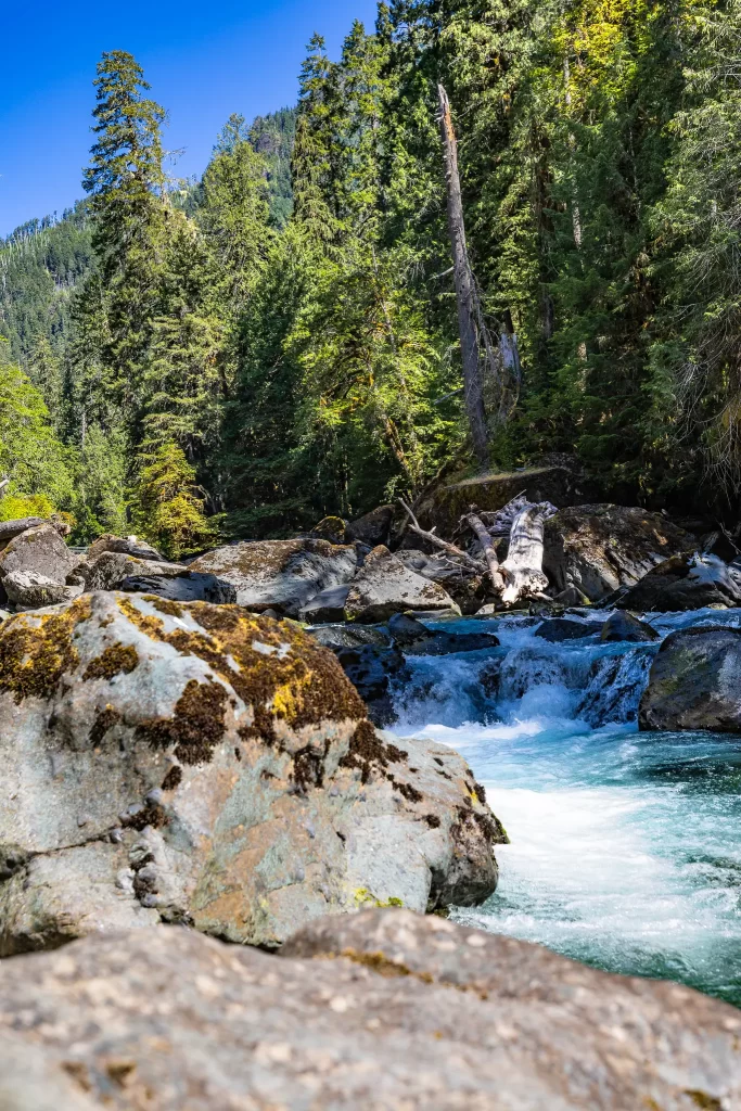 Skokomish River rapids.