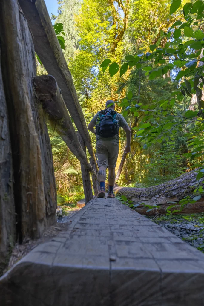 Tom crossing a sturdy log bridge.