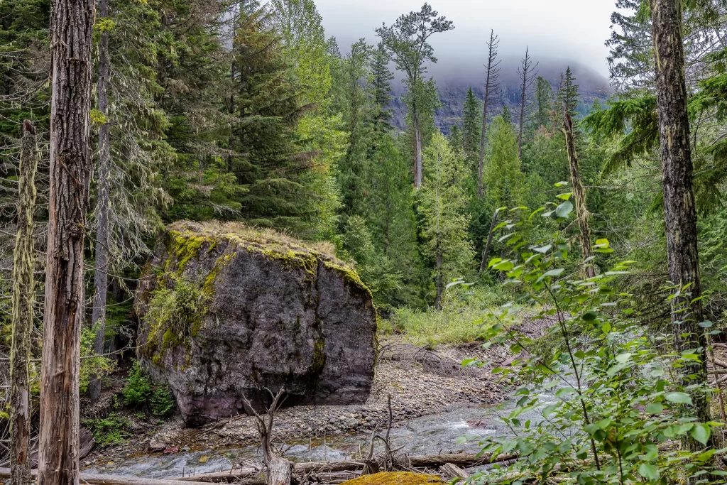 A massive boulder obstructs the path of Avalanche Creek.