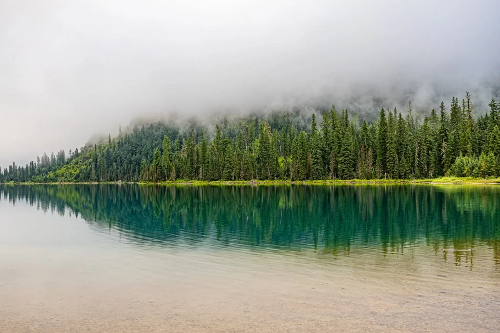 An excellent reflection of evergreen trees on the still waters ofAvalanche Lake.