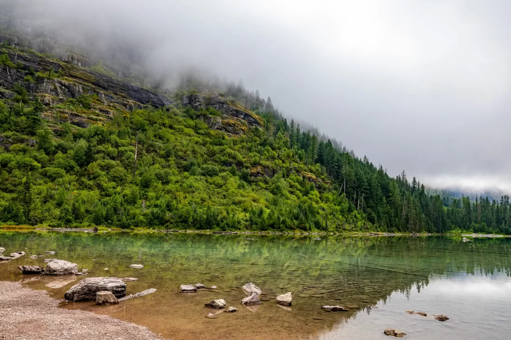 Bearhat Mountain reflects onto Avalanche Lake, Glacier NP.