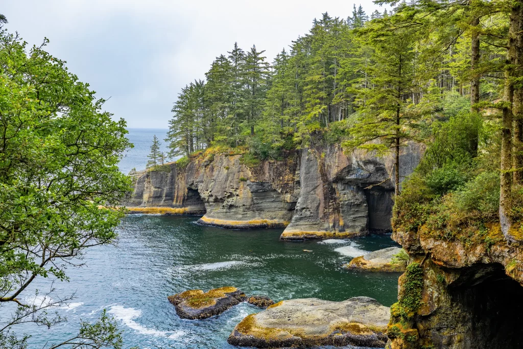 Sea caves tucked into the rocks on the Olympic Peninsula.