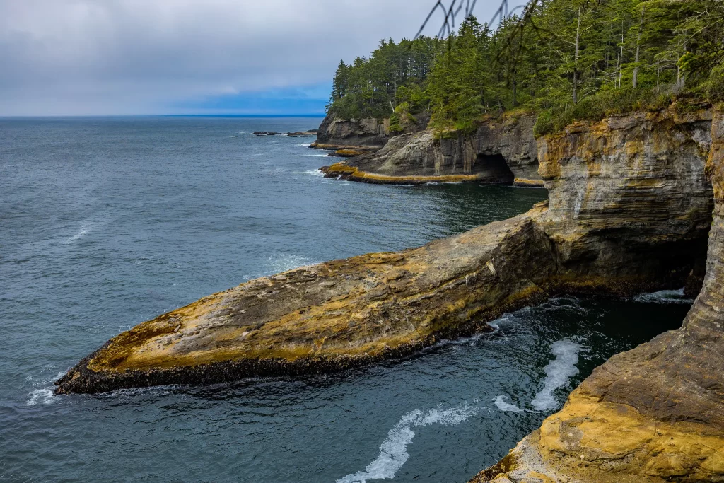 A large rocky protrusion on the Olympic coast.