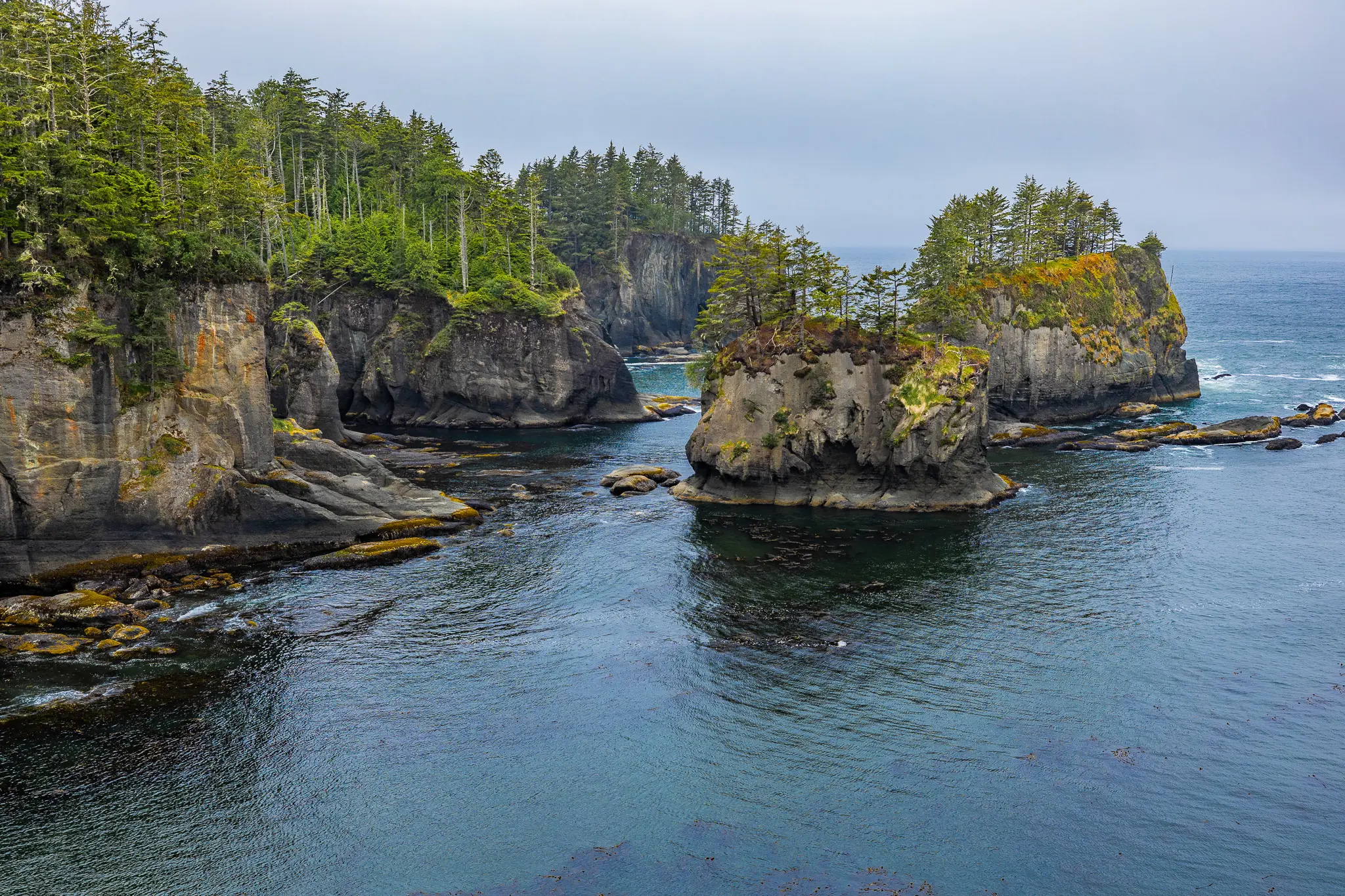 Day 2 @ Olympic National Park