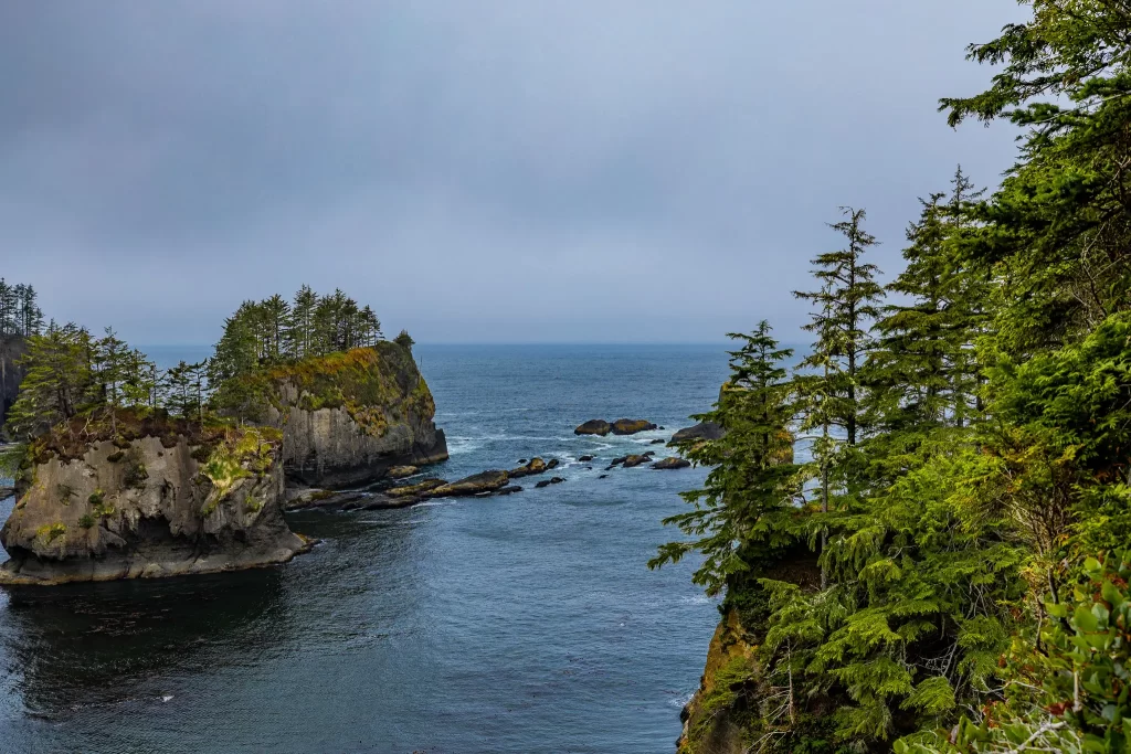 Cape Flattery's rocky shoreline.