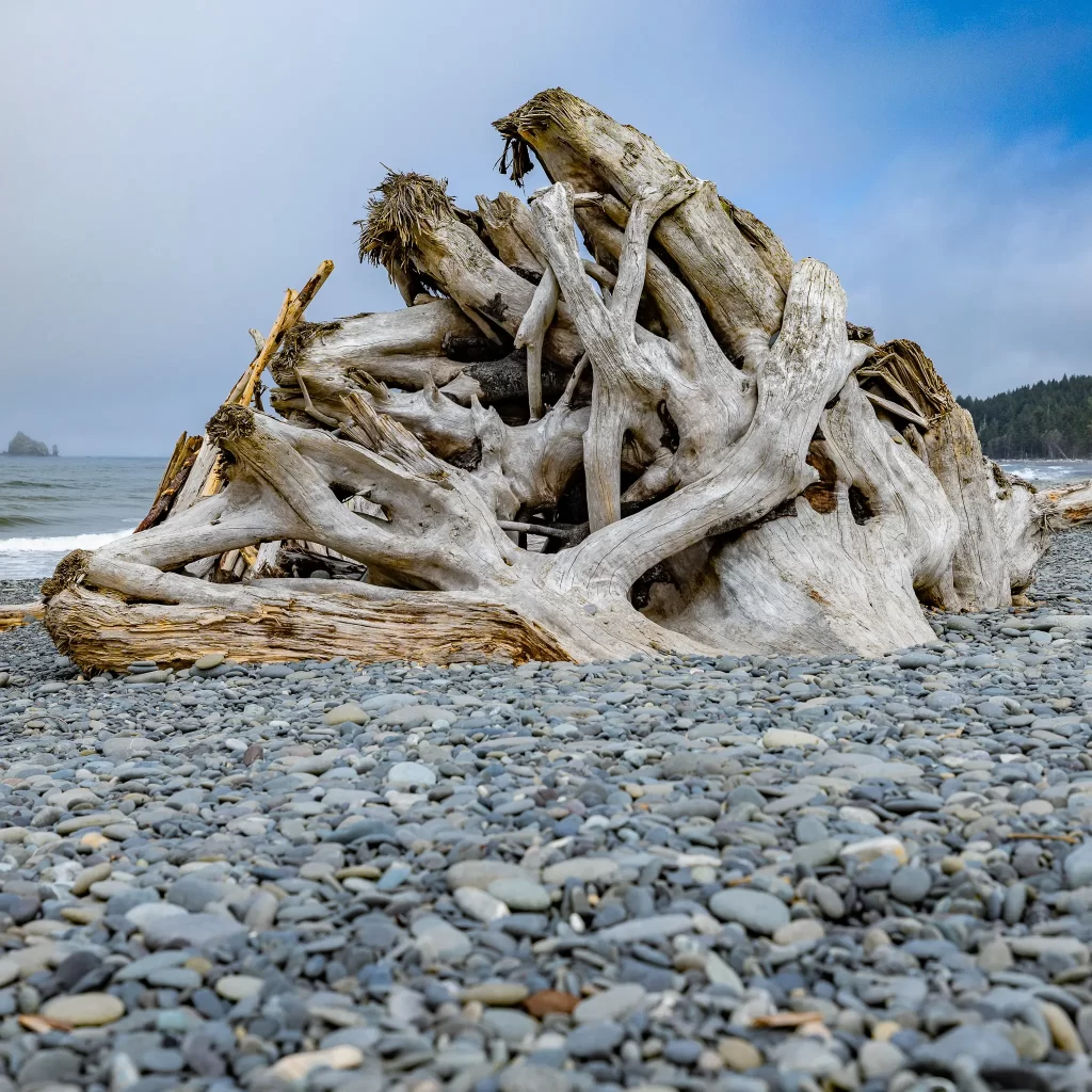 White driftwood arranged into a conical sculpture.