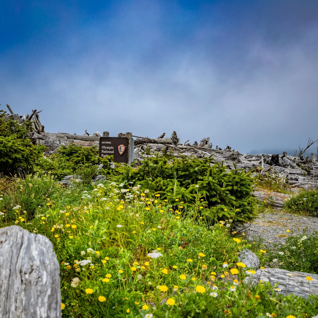 Olympic National Park sign at Rialto Beach.