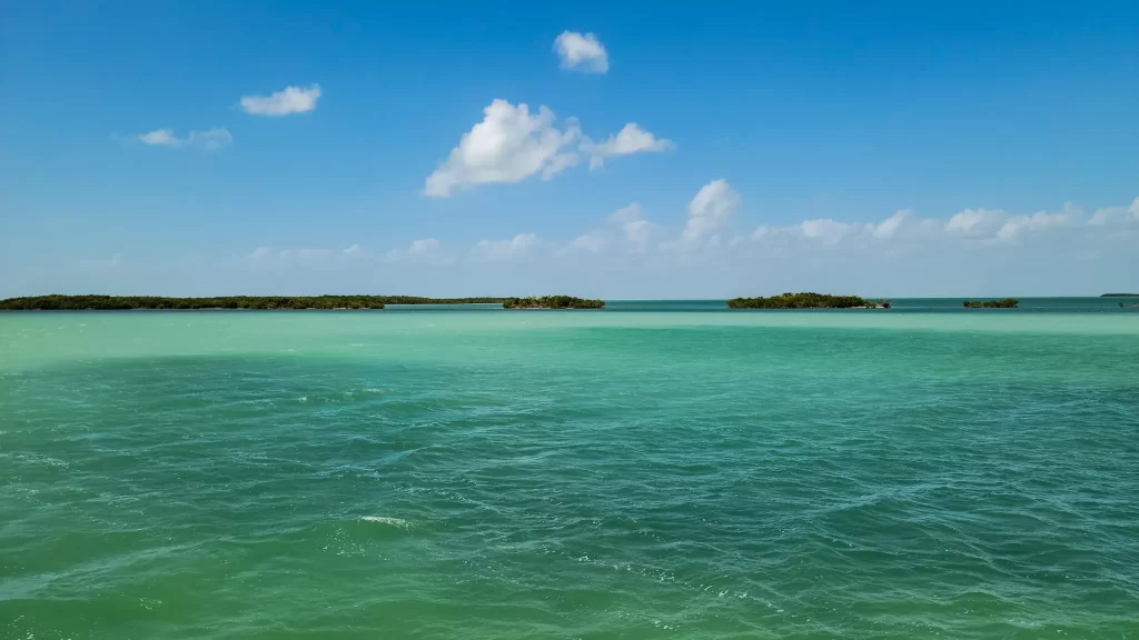 Beautiful turquoise waters of the Florida Keys.