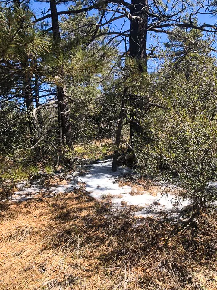 First snow on the Pacific Crest Trail!