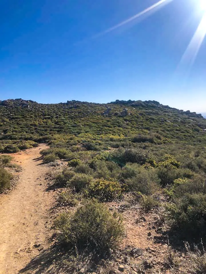 The PCT leads up a shrub-covered hill.