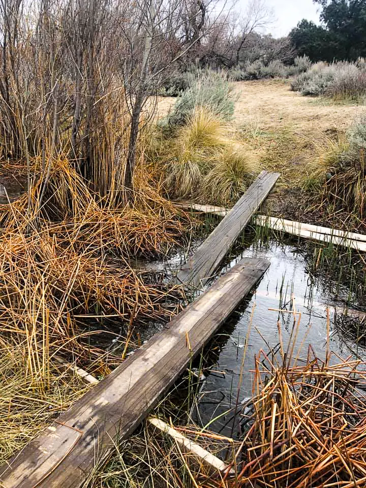 First "bridge" on the Pacific Crest Trail!