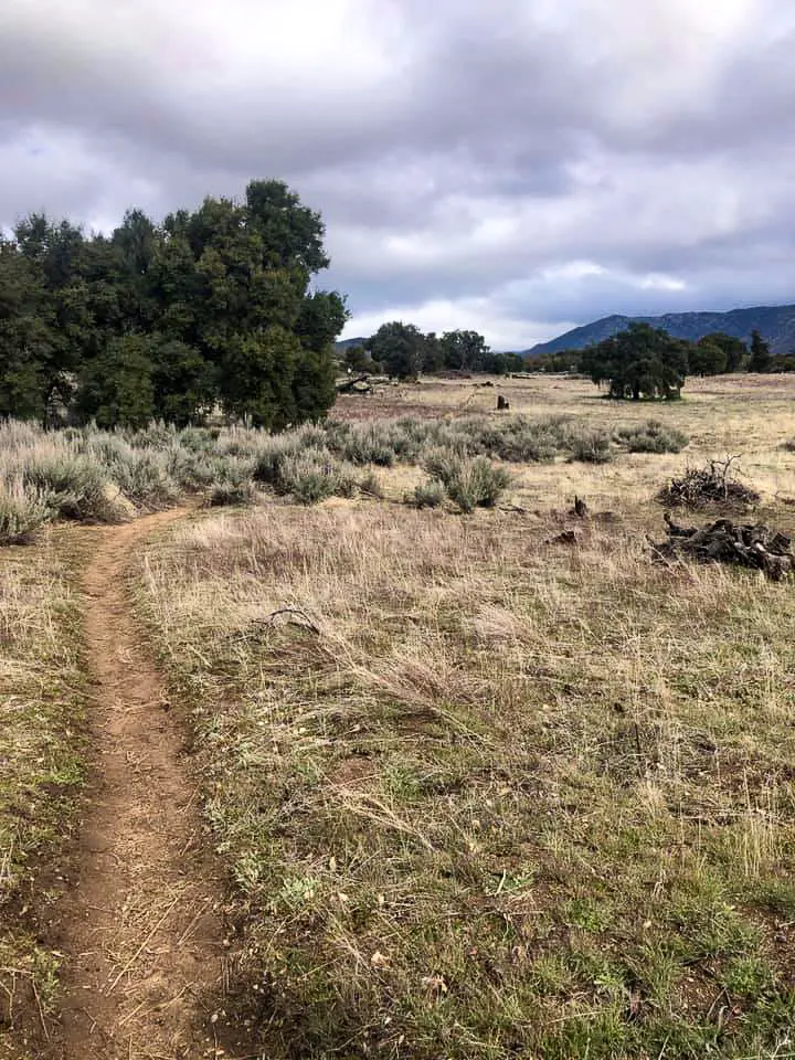 Open field with an easy path to follow on the PCT.