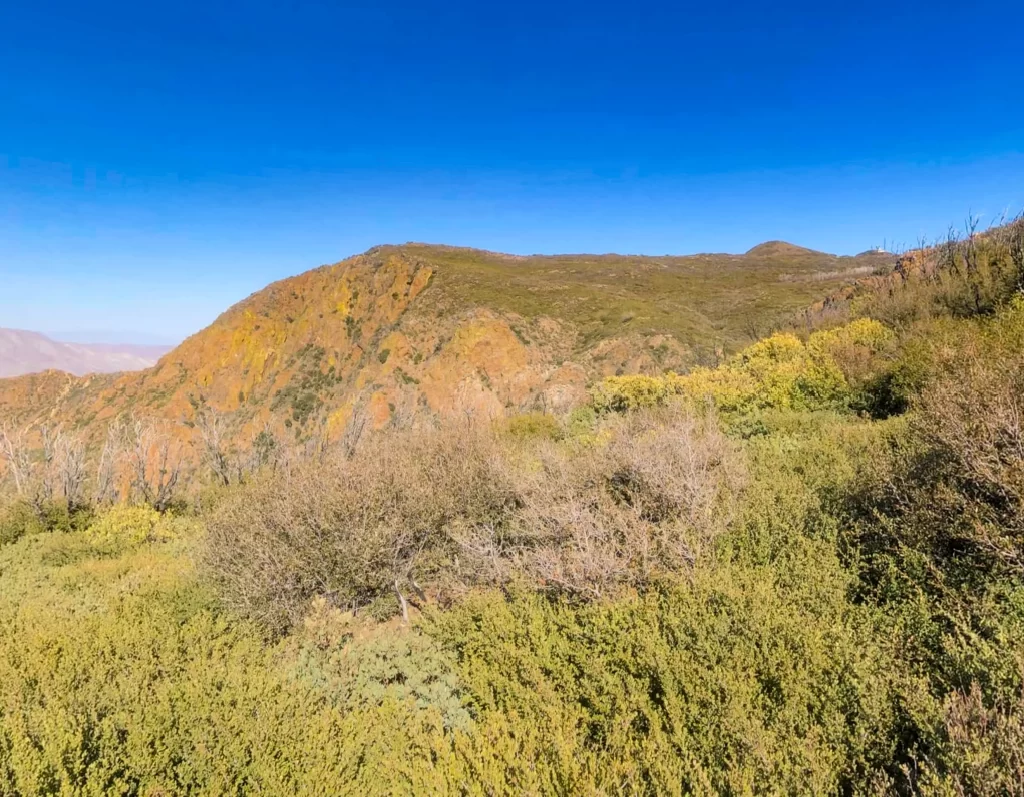 Red cliff faces on the PCT.