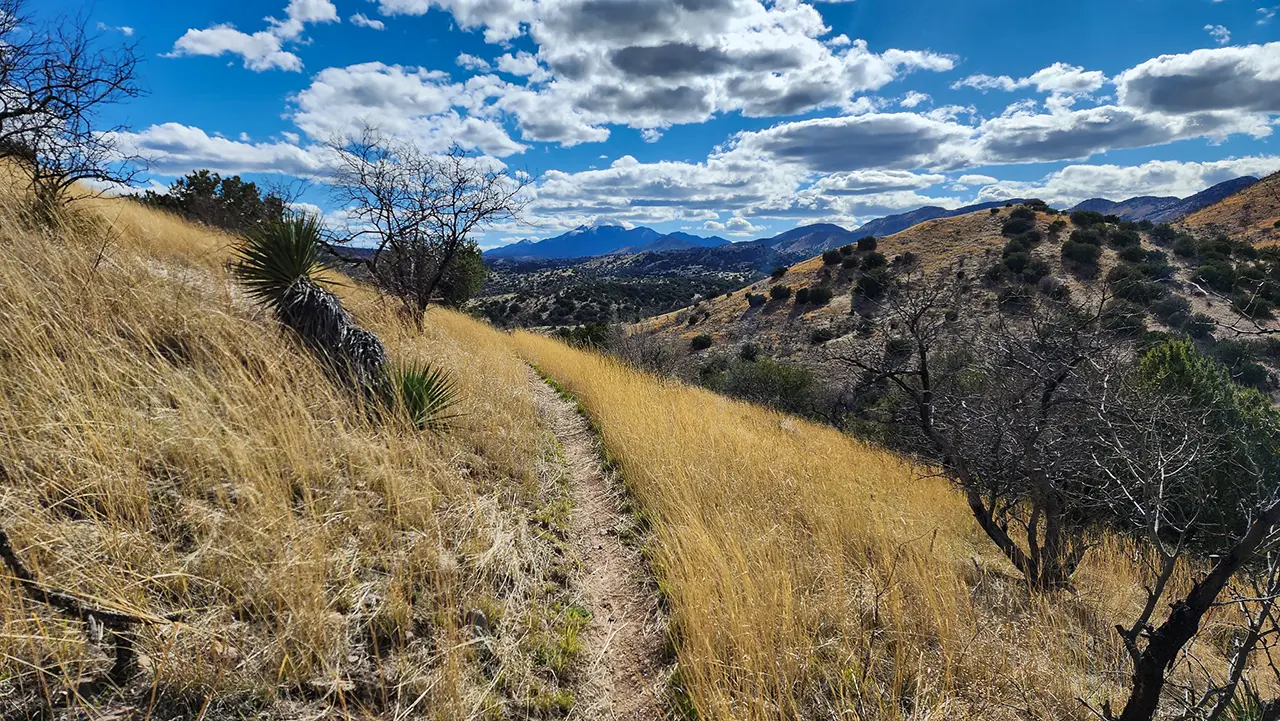 Day 8 | Arizona Trail